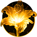 Golden Flower Bowknot Theme icon