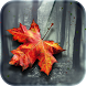 Autumn Wallpaper HD Live Theme - Androidアプリ