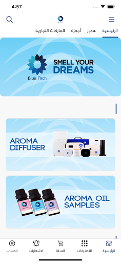 Blue Arch Store Screenshot 1 - AppWisp.com