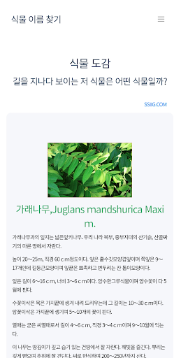 식물도감 사진으로 이름 정보 찾기 Screen 3
