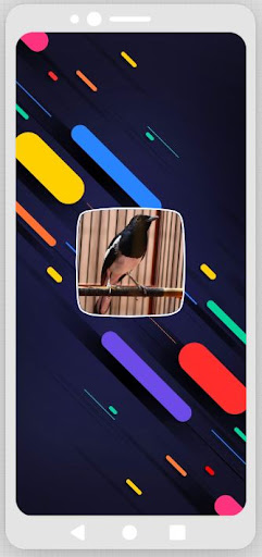 Android application Kacer Birds Sounds screenshort