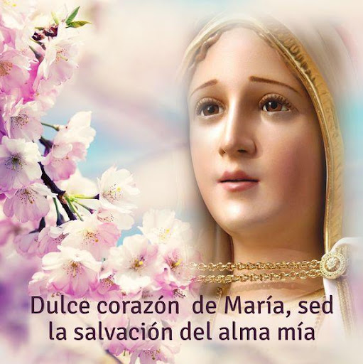 Virgen Maria Frases Screen 3