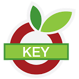 OurGroceries Key icon