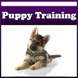 Puppy Training ! icon