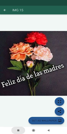 Android application Feliz día de las madres screenshort