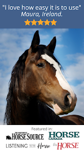 Captura de Pantalla 18 Polework Horse Riding Training android