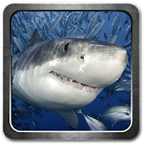 White Shark HD Live Wallpaper icon