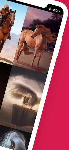 Screenshot of Horse Wallpapers 4K - HD