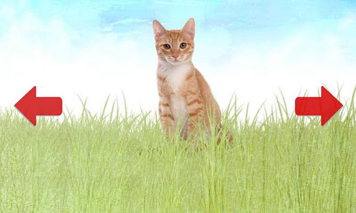 Animals for Kids Screen 2