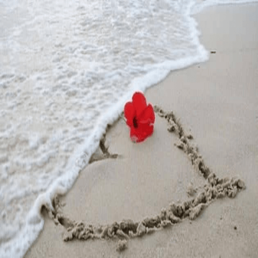 صور حب _ صورخلفيات رومانسية logo
