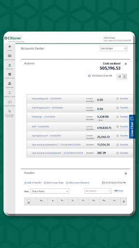 Citizens Cash Flow Essentials™ screenshot 9