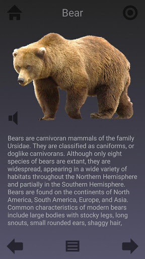 Screenshot of Animalia