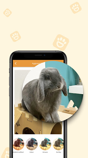 PetSmile - Social for animals Screen 3