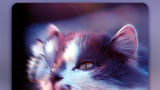 Video Editor & Maker - InShot Gallery Screentshots 6