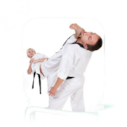 Tae Kwon Do Guide