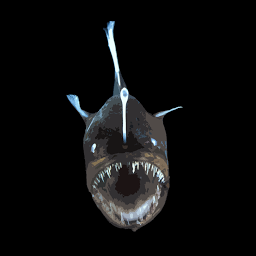 Deep Sea ID: Download & Review