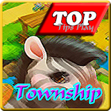Guideplay Township 2 icon