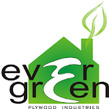 Evergreen Plywood icon