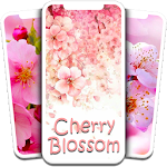 Cover Image of Descargar Cherry Blossom Wallpaper 5.0 APK