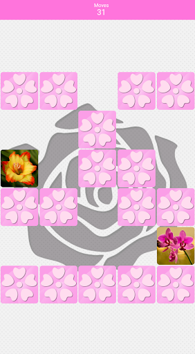 Pairs Flowers Screen 3