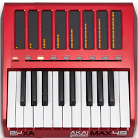 ORG PIANO PRO