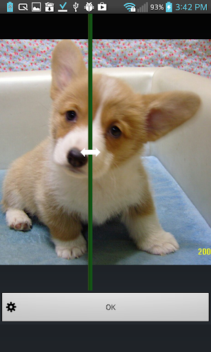 Bisymmetry - make funny photo