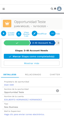 Screenshot of Mobil Consultor