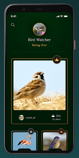 MirrorMirror Challenge Screen 2