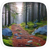 Forest Road Theme icon