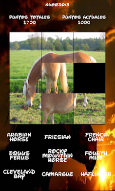 Horses Puzzle, one is hidden. - Screenshot 2