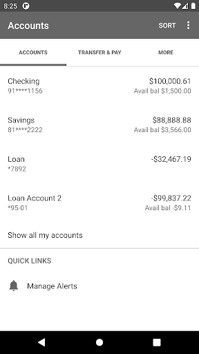 Skyline Financial FCU Screen 3