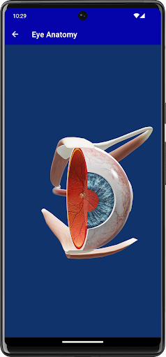 Eye Handbook Screen 3