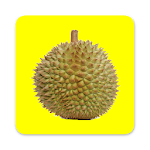 Cover Image of 下载 DURIAN  APK