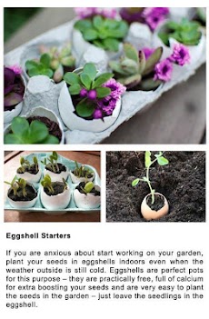 DIY Gardening Tipsのおすすめ画像3