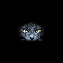 Featured image of post Hintergrundbilder Katzen Schwarz Jedoch ist verboten um die