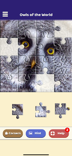 Owls of the World Puzzle Screen 2