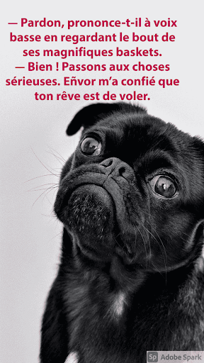 histoire courte pour dormir