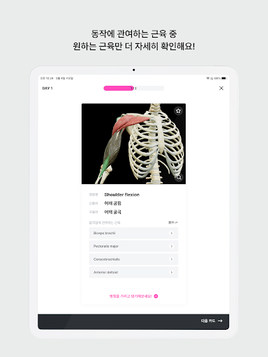 아나토미마스터 - 이파마스터가 만든 해부학 암기앱 Screenshot