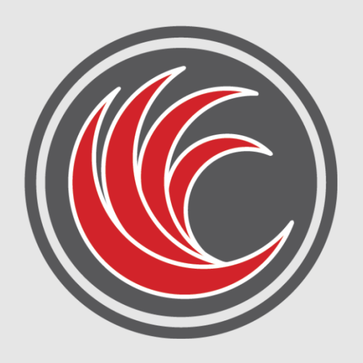 RRS - CSMFlex Scanner logo