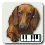Cover Image of Скачать Piano of Dogs  APK