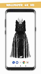 Wolf  Wallpaper Free 2020 HD - 4K 🐺