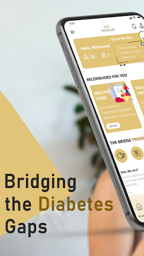 Android application The Bridge screenshort