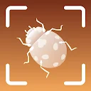 Insect Identifier - Bug identifier app