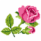 Rose Flowers Pixel Art - Paint By Number