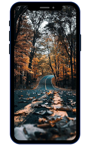Autumn Wallpapers Screen 2