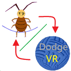 Combo:jump rope & dodge ball