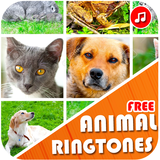 Download Animals Ringtones 2020 - All Animal Ringtones Free for Android - Animals  Ringtones 2020 - All Animal Ringtones APK Download 