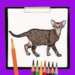 Cover Image of Download How to Draw Cat and Dog Easily  APK