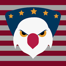 Symbolbild für VPN US using Free VPN .org™