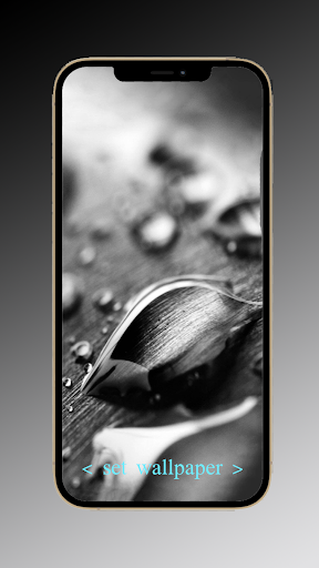 Black wallpapers 4k Screen 2